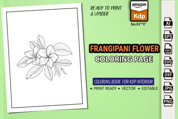 Plumeria Flower Drawing Vector Art for Modern Creatives