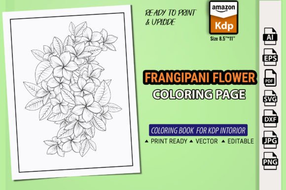 The Plumeria Flower Drawing: Your Gateway to Creative Relaxation and Digital Artistry