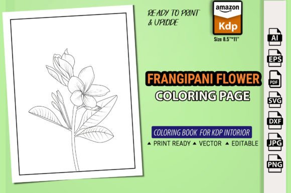 Understanding the Frangipani Plumeria Flower Coloring Book for Adult Creativity